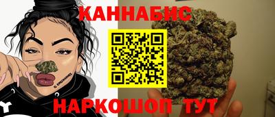СК Ачхой-Мартан