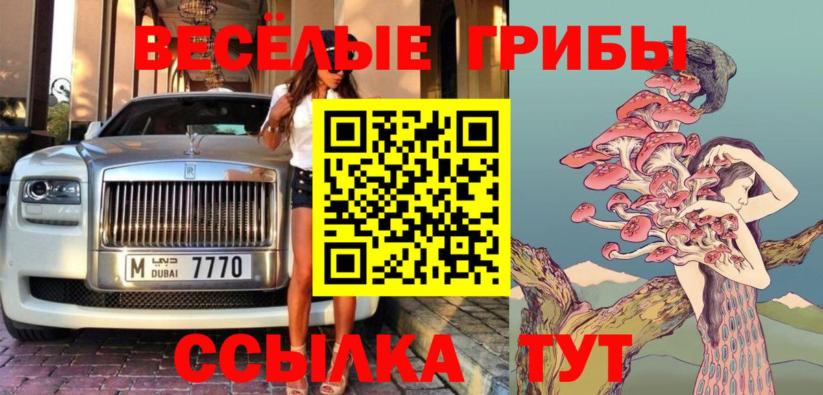 Ангарск  Псилоцибиновые грибы мицелий  Вход с VPN  Псилоцибиновые грибы Psilocybe 
